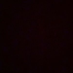 Meet your Posher, Delana